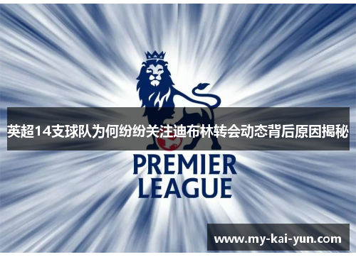 英超14支球队为何纷纷关注迪布林转会动态背后原因揭秘