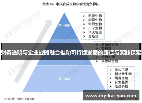 财务透明与企业战略融合推动可持续发展的路径与实践探索